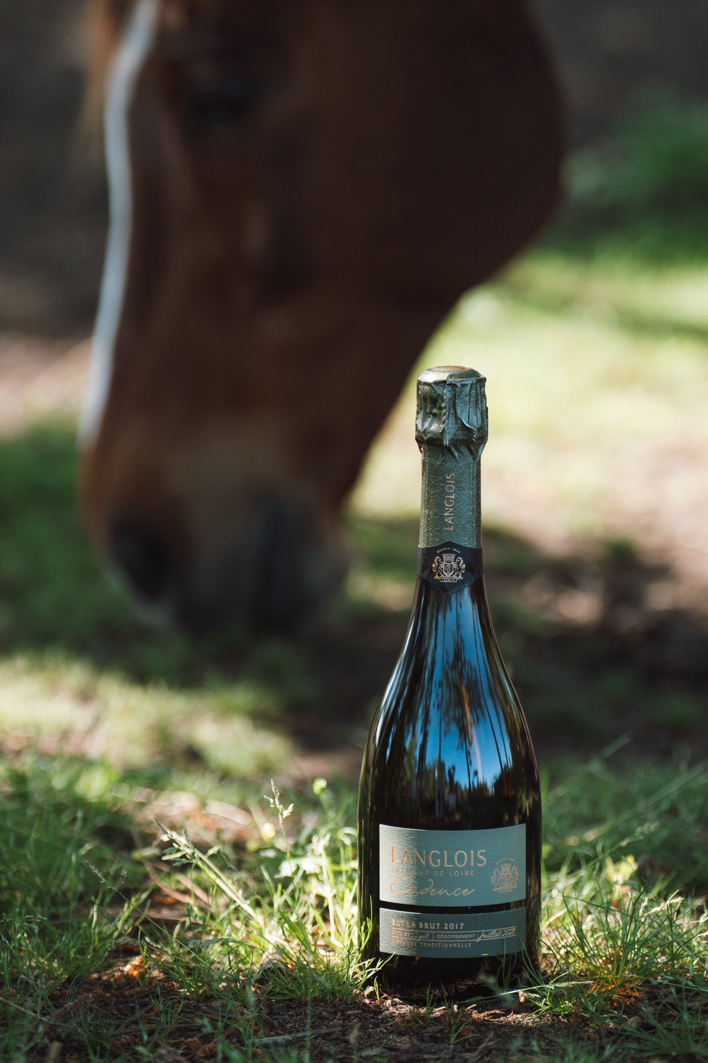 Langlois - Cadence Extra-Brut 2017