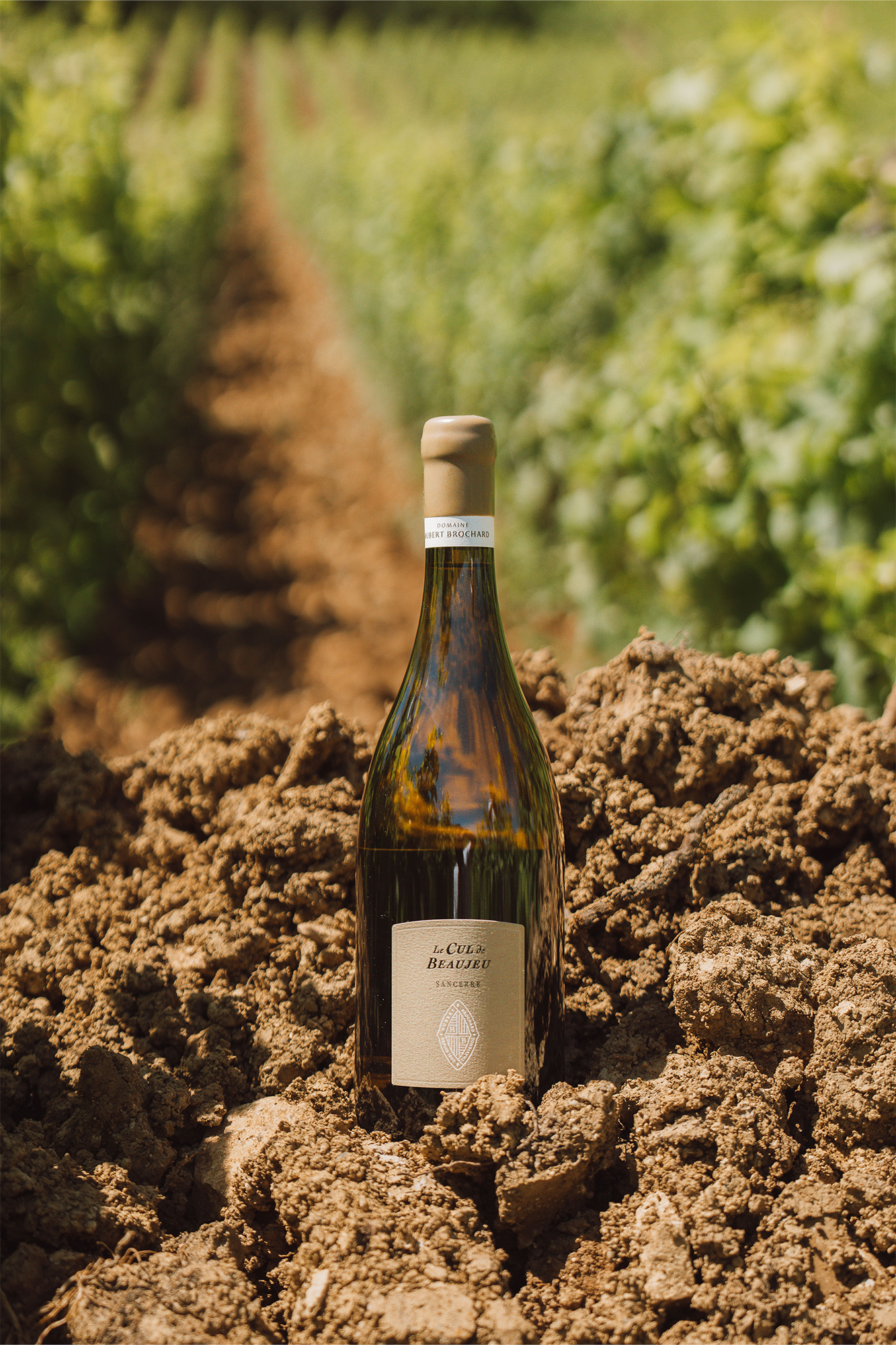 Le Cul de Beaujeu, (Terres de Caillottes), 2023