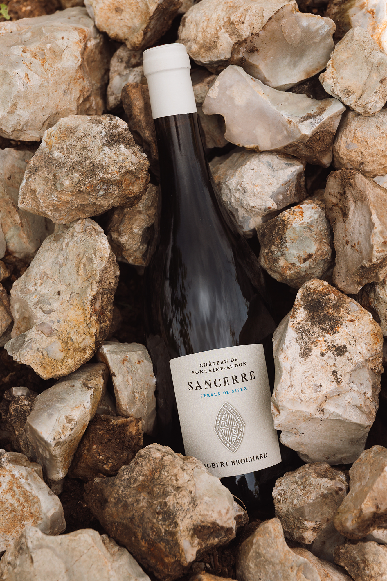 Château de Fontaine-Audon (Terres de silex), 2024