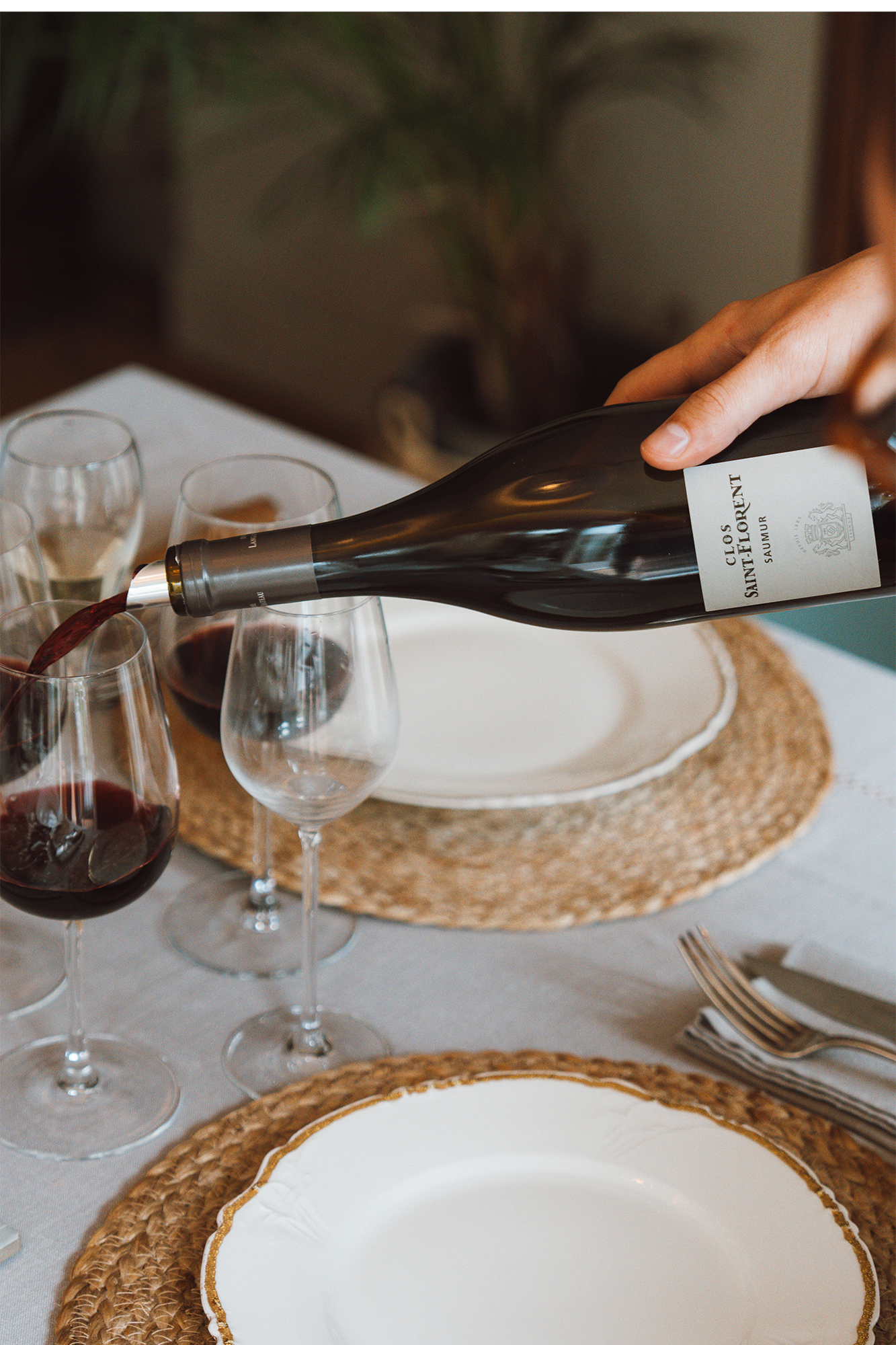 Clos St Florent, Saumur rouge bio 2022