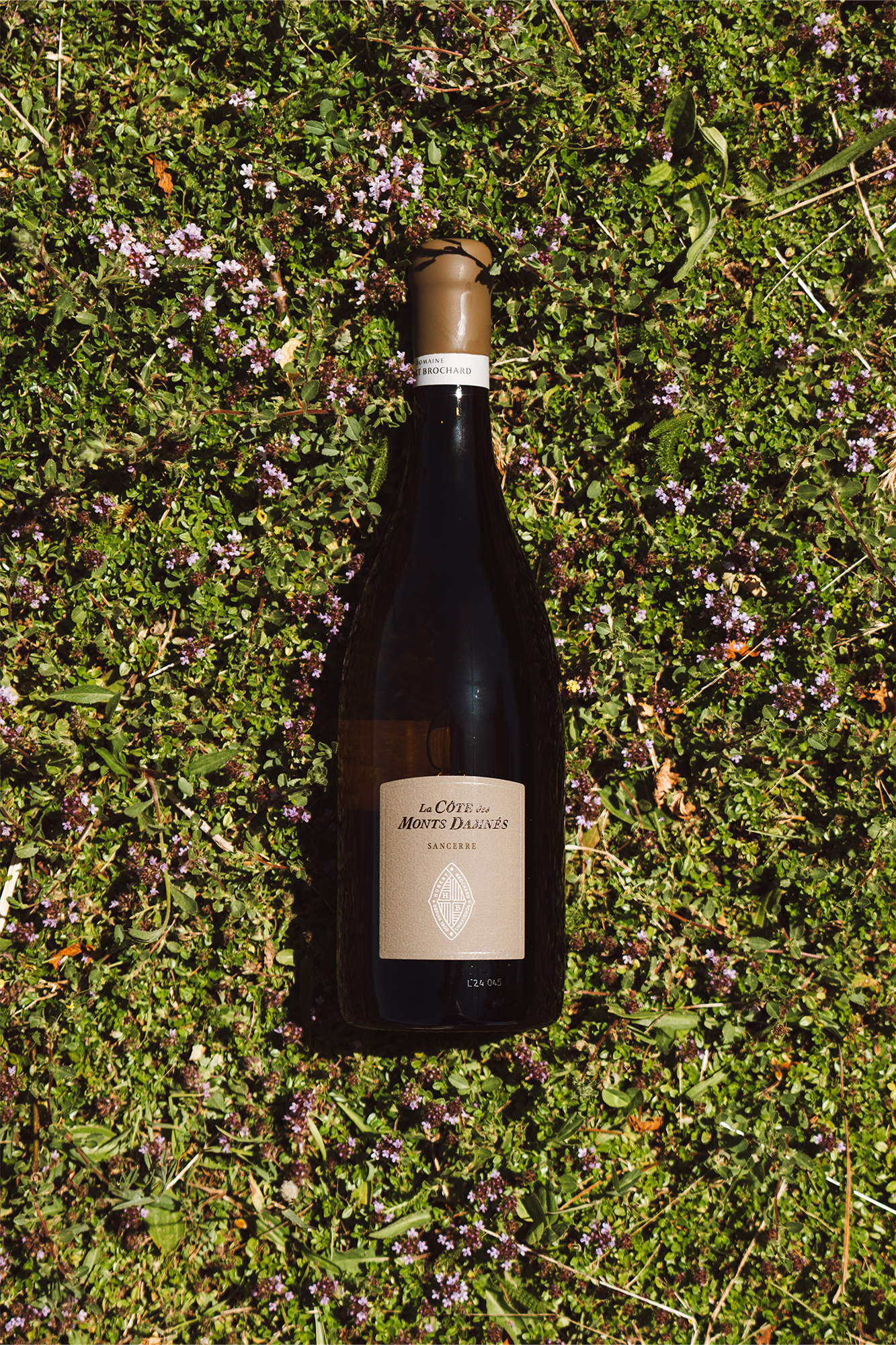 La Côte des Monts Damnés, (Terres de Caillottes), 2023