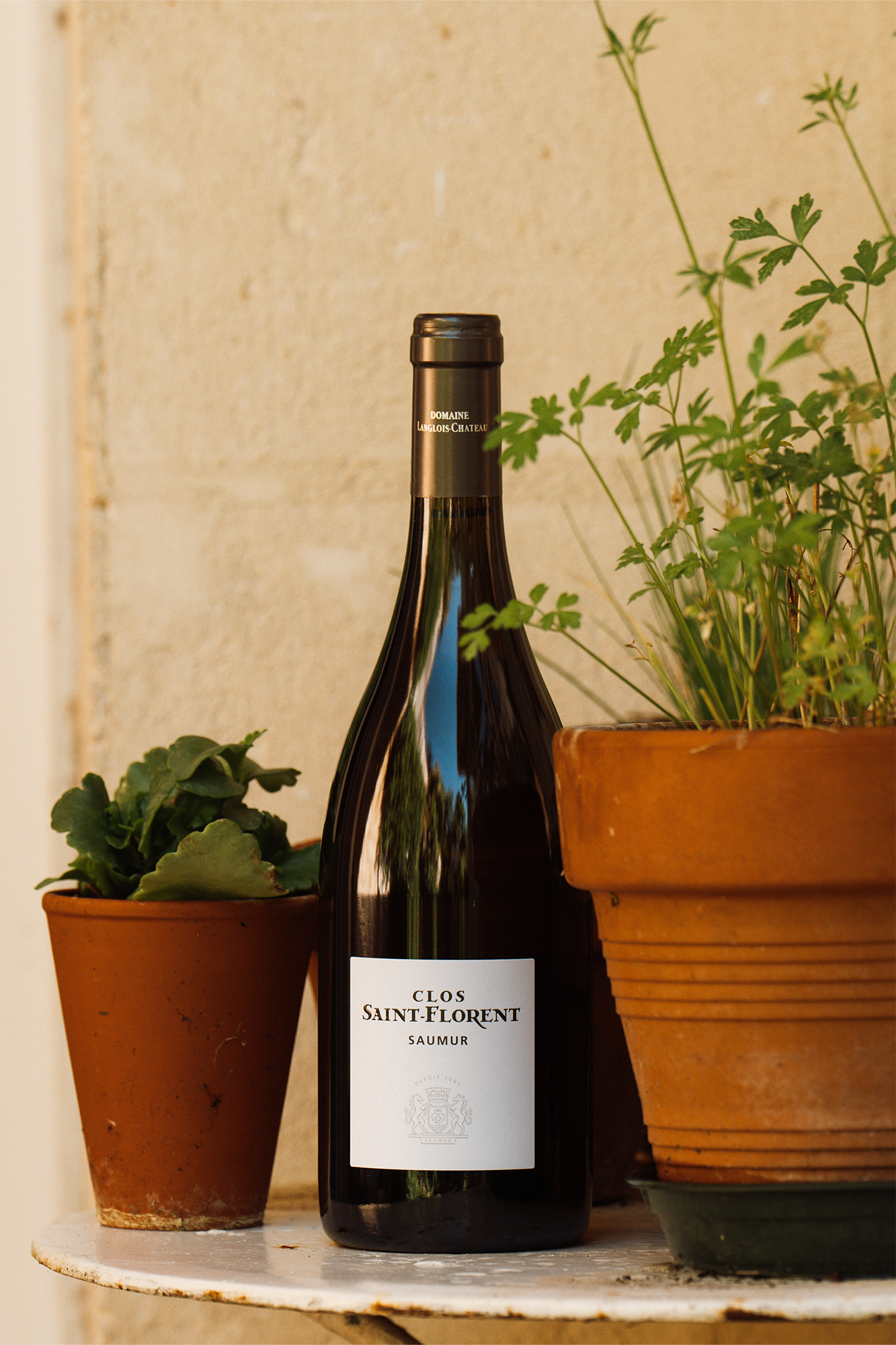 Clos Saint Florent, Saumur blanc bio 2022